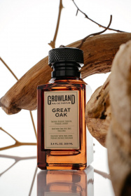 Парфюмированная вода,DILIS Great Oak