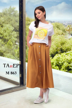 TAiER 863/2