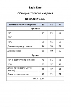 LadisLine 1539