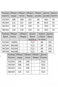 Блуза, брюки, жакет Matini 1.1622/1 василек - фото 4