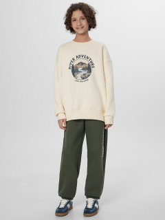 Брюки Mark Formelle 183410/25-36582П-7П хаки_печать1_2_сл_на_ЛВ_дет - фото 1