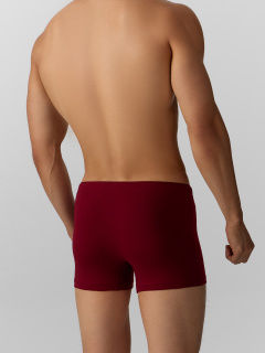 Трусы Mark Formelle 411134/25-4959П-5 т.вишневый_печать_2_сл_на_ЛВ_дет_пер - фото 5