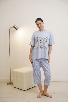 Капри, футболка Купалинка 42700G.158-164 к.голубой,клетка - фото 1