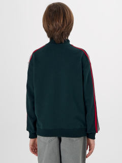 Толстовка Mark Formelle 363355/25-39243Ц-7 зеленый_бархат - фото 1