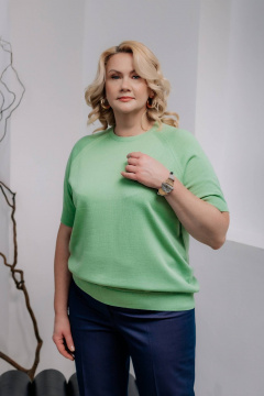 Джемпер Полесье С1370-22 2С5162-Д43 170,176 киви - фото 1