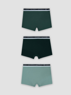 Трусы Mark Formelle 411228-3/25-5560Ц-5 зеленая_пастель_хвойный_лес_зеленый_бархат - фото 2