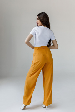 Брюки JoEmber 1 желто-золотой - фото 3