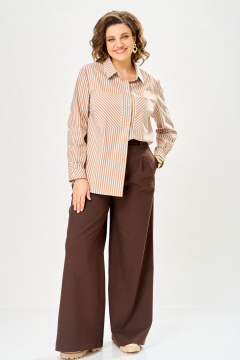 Брюки Andina city 2033-26 коричневый - фото 1