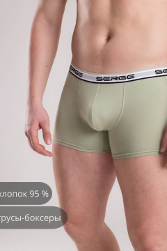 Трусы SERGE 7011/142 green-074 - фото 1