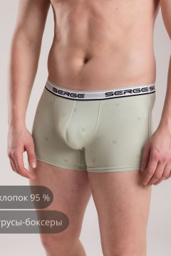 Трусы SERGE 7011/143 patt0696 - фото 1