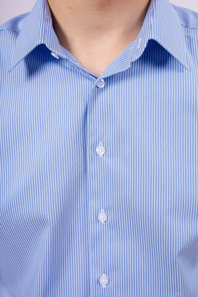 Рубашка Nadex 01-047521/307-23_170 голубо-белый - фото 4