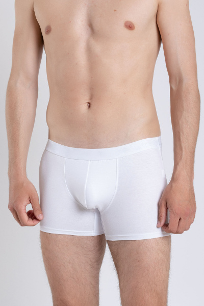 Трусы SERGE 7011/74 white001 - фото 1