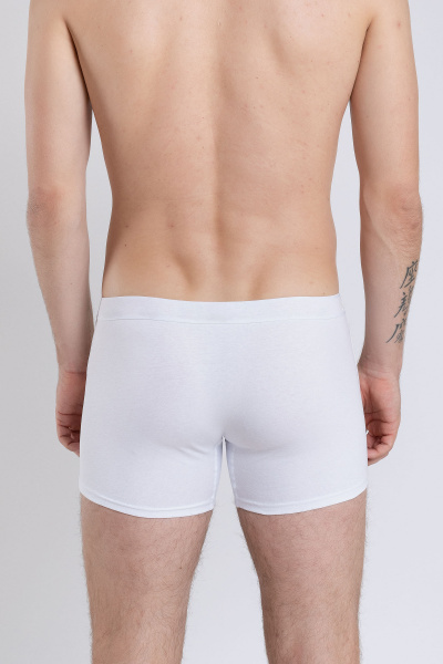 Трусы SERGE 7011/74 white001 - фото 2