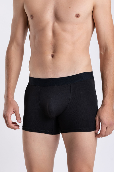 Трусы SERGE 7011/68 black002 - фото 1