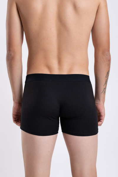 Трусы SERGE 7011/68 black002 - фото 2