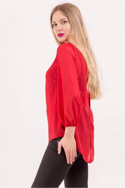 Блуза Arisha 2011-1 красный - фото 1