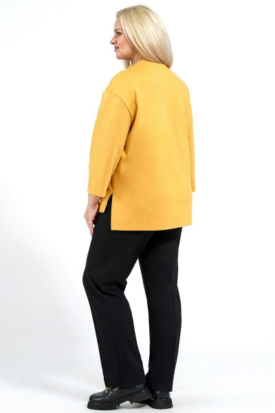 Блуза, брюки Alani Collection 2011 черный/горчичный - фото 5
