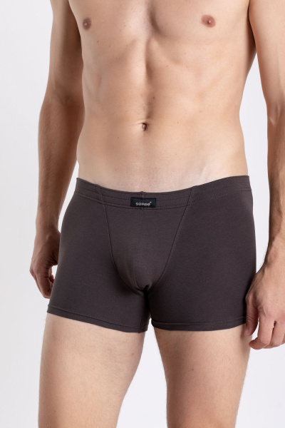 Трусы SERGE 7039/66 brown052 - фото 1