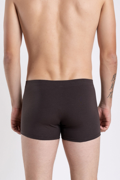 Трусы SERGE 7039/66 brown052 - фото 2