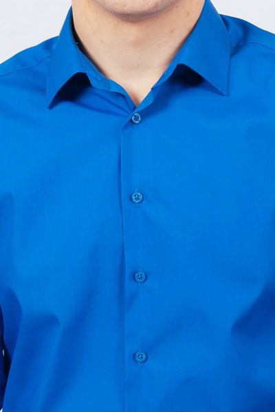 Рубашка Nadex 01-088511/204-24_170 классический_синий - фото 4