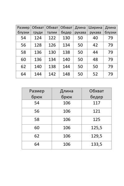 Блуза, брюки Элль-стиль А-539/2 - фото 4