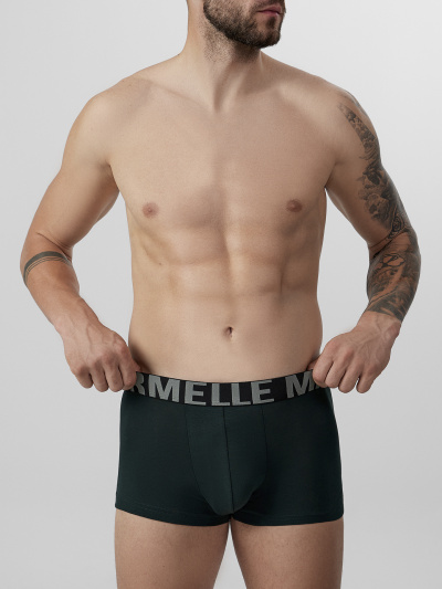 Трусы Mark Formelle 411124-2/25-5130Ц-5 зеленый_бархат_черный - фото 8
