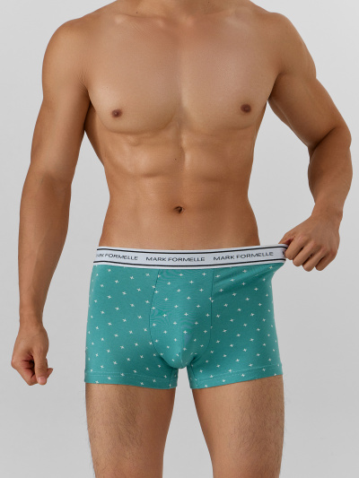 Трусы Mark Formelle 411228-2/25-5079П-5 узор_на_персидском_зеленом_черный - фото 9