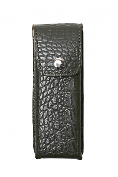 Футляр Galanteya 16017.25с526к45 оливковый_т. - фото 1