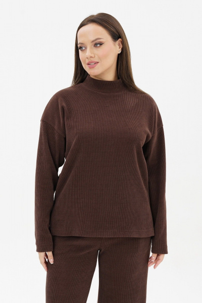 Брюки, джемпер Пинск-Стиль 274 шоколад - фото 4