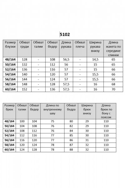 Блуза, брюки БАГРЯНИЦА 5102 черный_блеск - фото 7