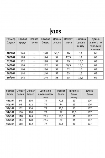 Блуза, брюки БАГРЯНИЦА 5103 черное золото - фото 5