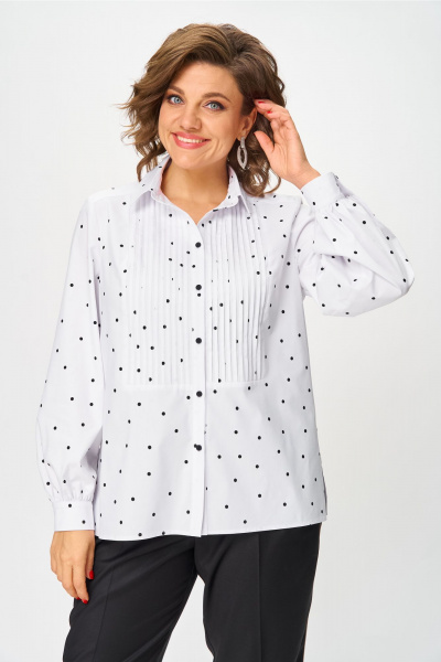 Блуза Andina city 5045-25 - фото 1