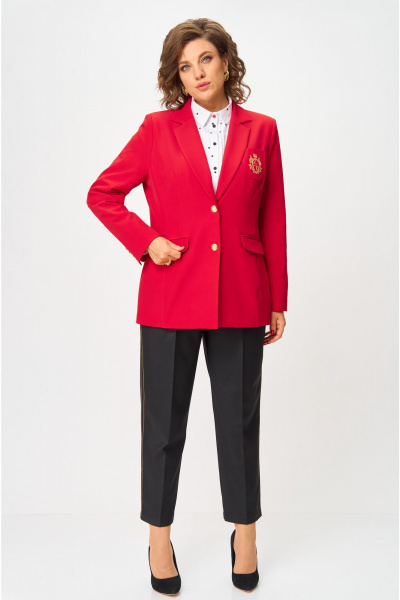 Брюки, жакет Andina city 9087-25 - фото 1