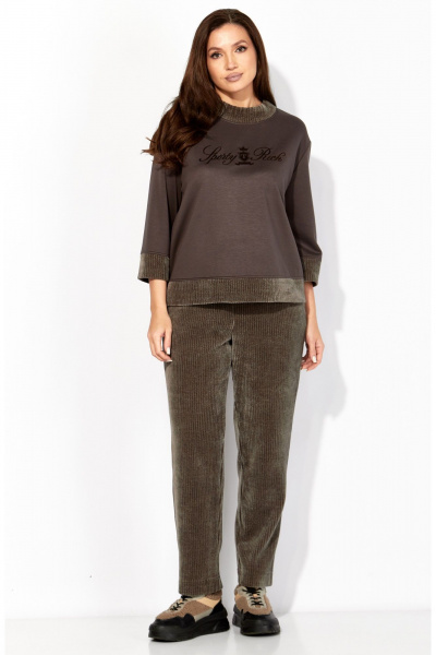 Брюки, джемпер TAiER 1381 капучино - фото 1