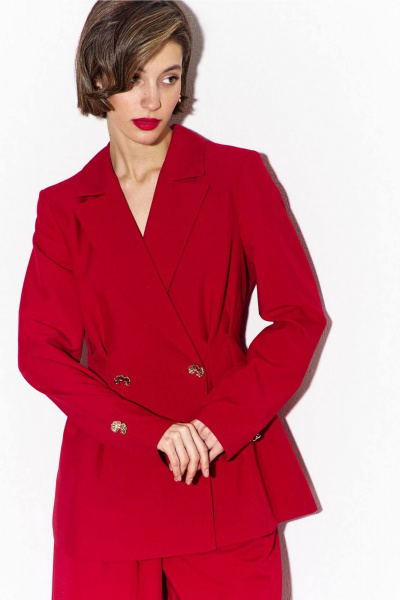 Брюки, жакет RINKA 1477/1 - фото 5