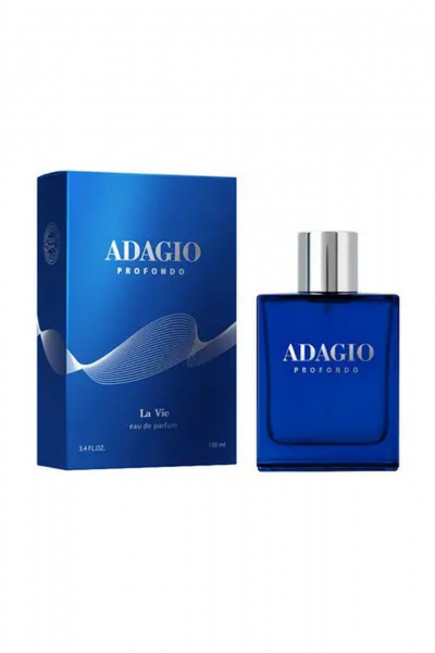 Фужерные туалетные воды ADAGIO для мужчин 100 мл DILIS La Vie Adagio - фото 1