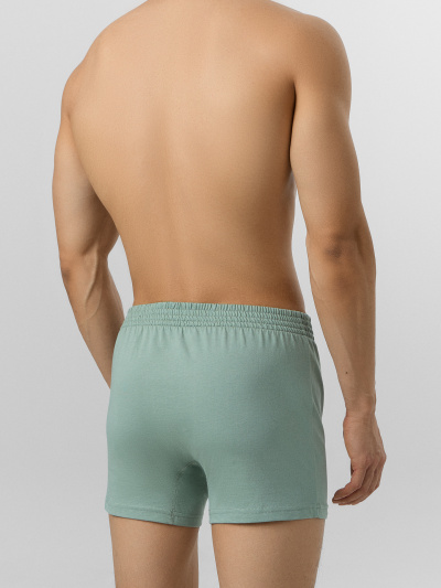 Трусы Mark Formelle 411152/25-4973Ц-0 зеленый_лед - фото 2