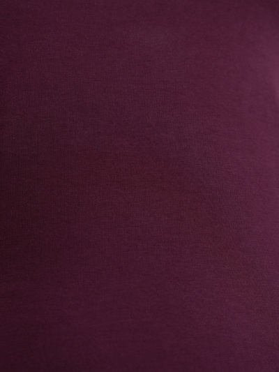 Майка CONTE BASIC COLLECTION LM 2020 bordo 20С-1060ТСП - фото 4