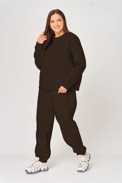 Брюки, свитшот V&N Fashion 1068 шоколадный - фото 2