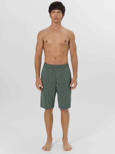 Шорты Mark Formelle 531027/25-5408ПП-0 полоска_на_хвойный_лес - фото 1