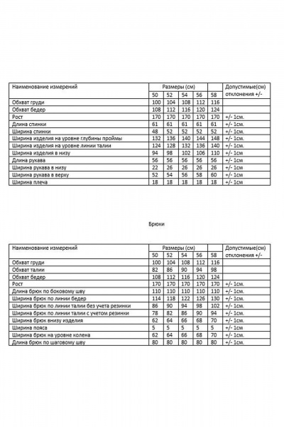 Брюки, джемпер AMUAR 1078.1 серый - фото 4