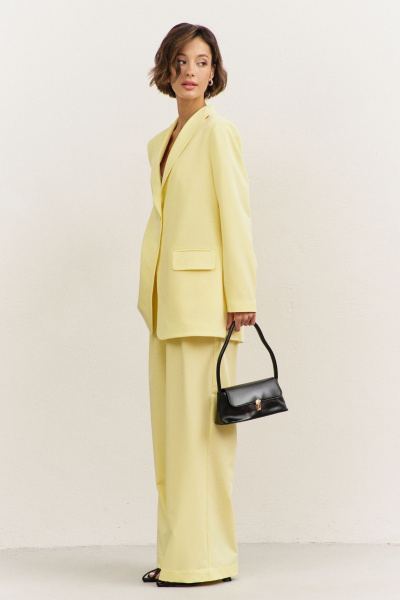 Брюки, жакет RINKA 1483/1 желтый - фото 12