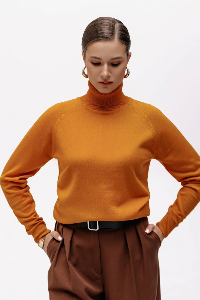 Свитер из трикотажа с высоким воротником для демисезона Полесье С3433-17 7С1582-Д43 170,176 рыжий_кот - фото 1