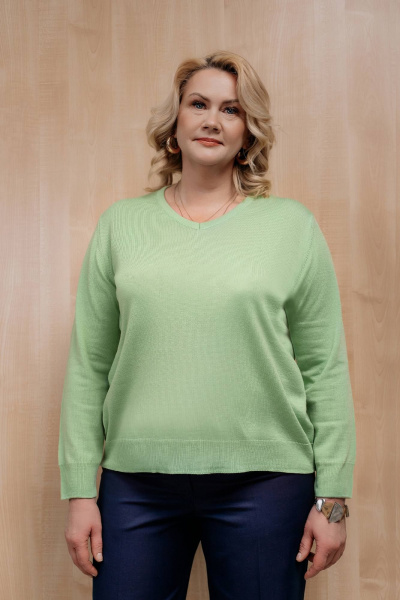 Джемпер Полесье С1366-22 2С5161-Д43 158,164 аркадия_14-0123 - фото 1