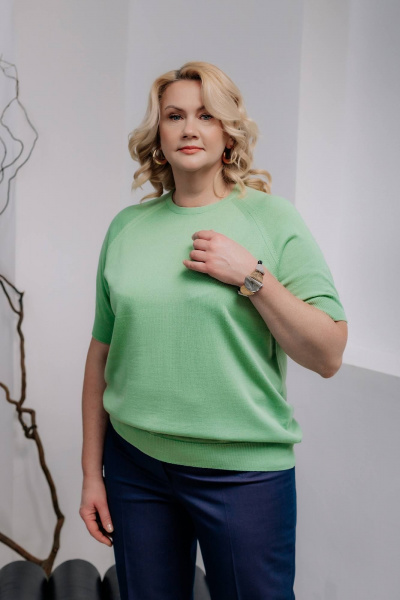 Джемпер Полесье С1370-22 2С5162-Д43 170,176 киви - фото 1