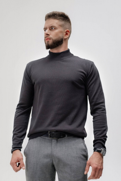 Свитер Полесье С3012-15 5С1749-Д43 182,188 дипломат - фото 1