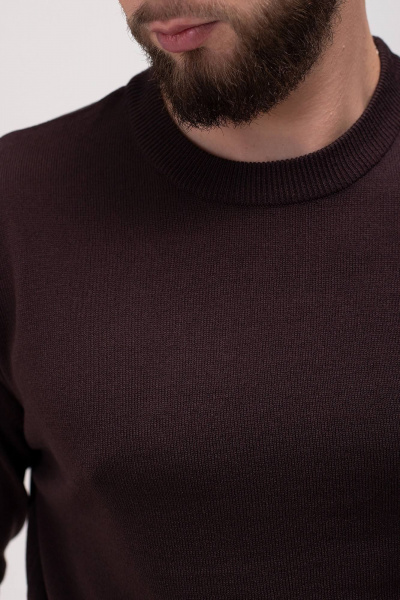 Джемпер Полесье С5481-24 5С2200-Д43 182,188 изысканный_кофейный - фото 6