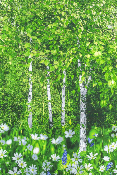 Наволочка, пододеяльник, простыня АРТПОСТЕЛЬ 909 белая_березонька - фото 5