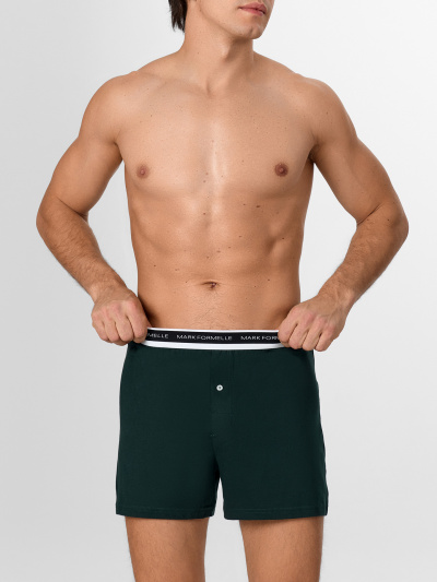 Трусы Mark Formelle 411222/25-4880Ц-0 зеленый_бархат1 - фото 1