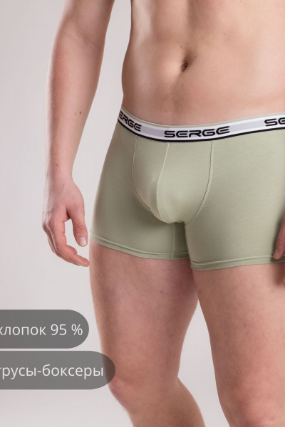 Трусы SERGE 7011/142 green-074 - фото 1